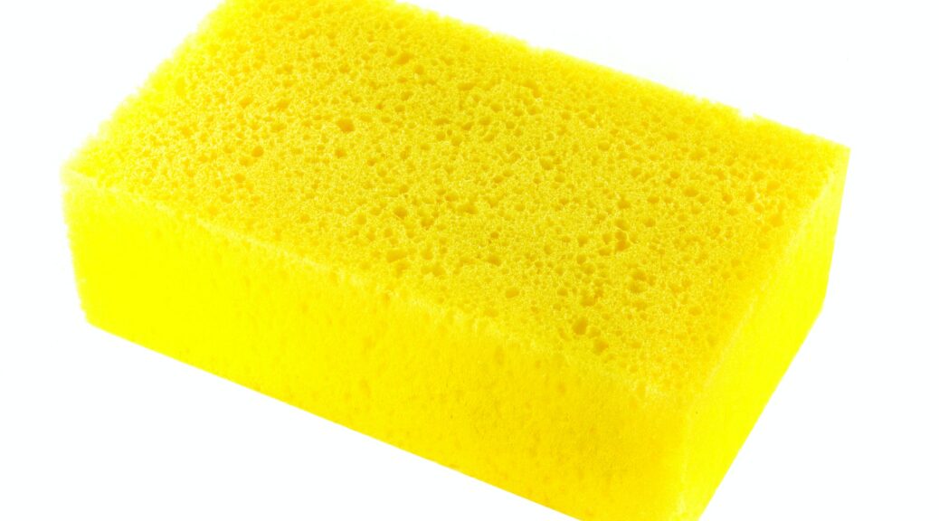 Sponge